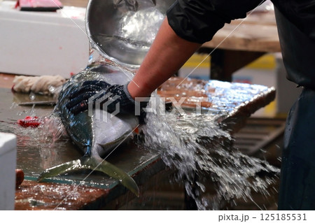 マグロの解体 マグロの解体 125185531