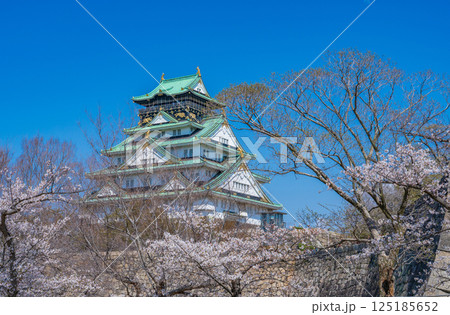 春四月 青空に映える満開の桜と大阪城天守 春四月 青空に映える満開の桜と大阪城天守 125185652