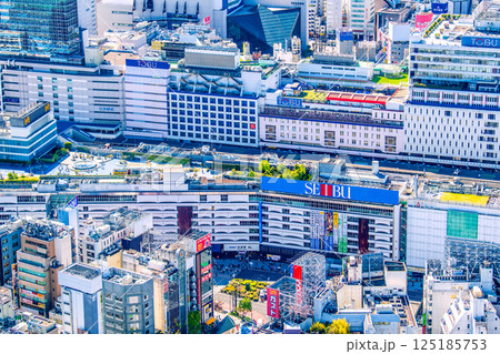 日本の東京都市景観 池袋駅東口などを望む 日本の東京都市景観 池袋駅東口などを望む 125185753