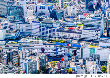 日本の東京都市景観 池袋駅東口などを望む 125185754