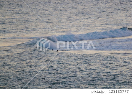 高知のサーファー 高知のサーファー 125185777