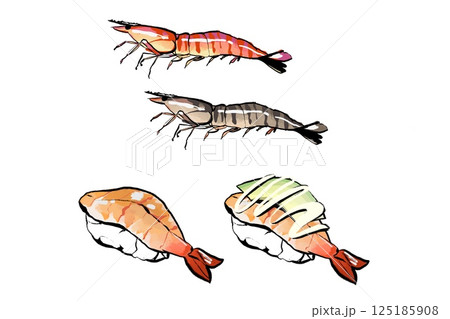 手書きのエビと寿司、エビアボカド 手書きのエビと寿司、エビアボカド 125185908