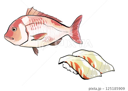 手書きのタイと寿司 125185909