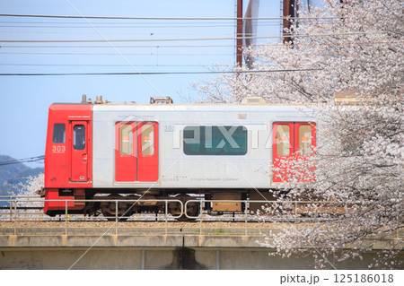 瑞梅寺川の桜と303系電車（JR九州） 125186018
