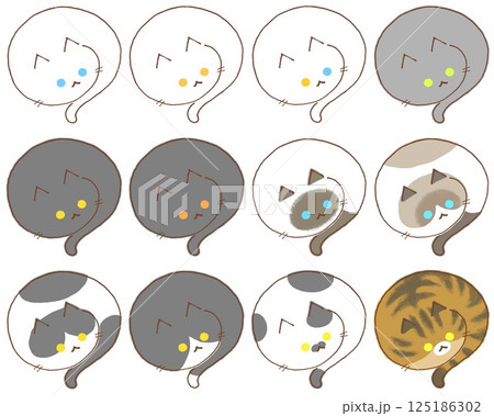 色々な柄の猫12種類 125186302