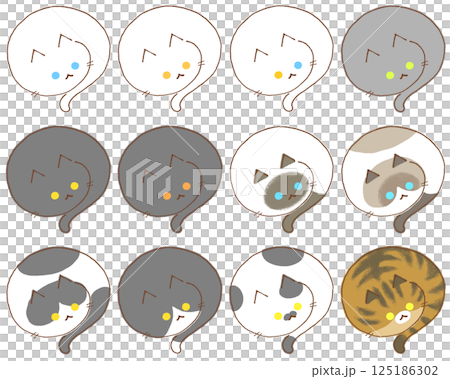 色々な柄の猫12種類 125186302