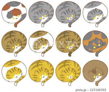 色々な柄の猫12種類 125186303