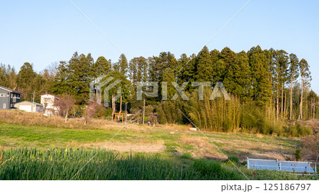 多賀城 アラハバキ神社 125186797