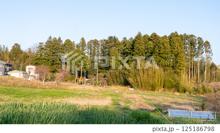 多賀城 アラハバキ神社 125186798
