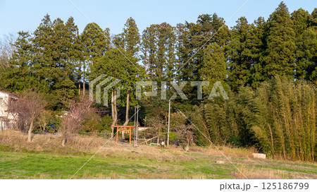 多賀城 アラハバキ神社 多賀城 アラハバキ神社 125186799