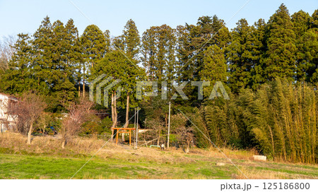 多賀城 アラハバキ神社 125186800