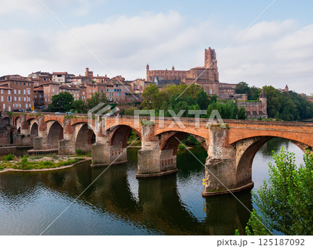 Landscape with a view of the ancient bridge in the city of Albi Landscape with a view of the ancient bridge in the city of Albi 125187092