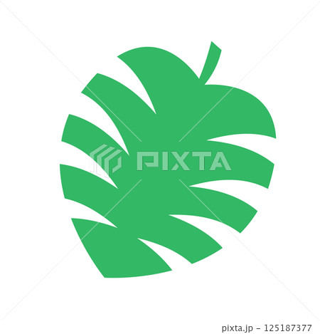 モンステラのシンプルベクター素材 モンステラのシンプルベクター素材 125187377