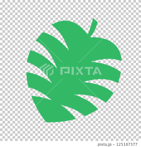 モンステラのシンプルベクター素材 モンステラのシンプルベクター素材 125187377