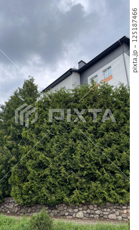 a multi-storey building hid behind dense greenery against the backdrop of a cloudy sky before the rain a multi-storey building hid behind dense greenery against the backdrop of a cloudy sky before the rain 125187466