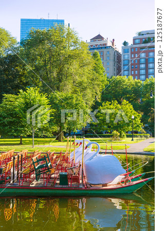Boston Common public garden Swan boats Boston Common public garden Swan boats 125187677