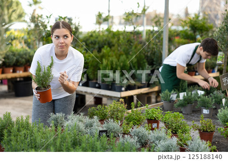 Female purchaser chooses rosemary in pot instead of bouquet for gift to colleague Female purchaser chooses rosemary in pot instead of bouquet for gift to colleague 125188140