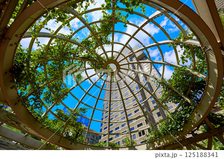 Boston skyscrapers from Norman Leventhal Park 125188341