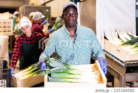 Positive factory worker holding crate of fresh leek Positive factory worker holding crate of fresh leek 125188582