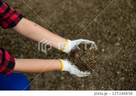 Dried and crushed manure in the hands of farmer 125188656