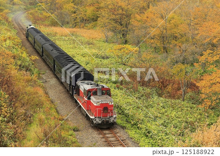 紅葉の函館本線 125188922