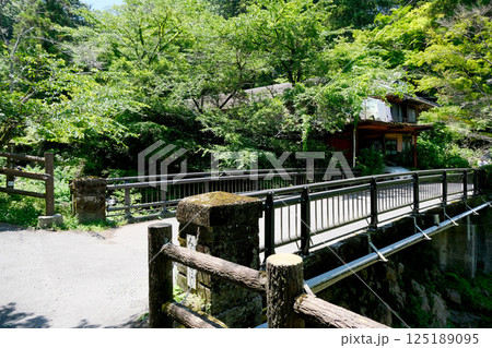 岐阜県養老郡養老町_養老公園妙見橋1_2024年6月 125189095