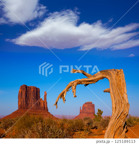 Monument Valley West and East Mittens Butte Utah Monument Valley West and East Mittens Butte Utah 125189113