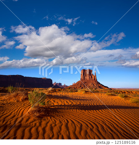 Monument Valley West Mitten Butte Utah Park 125189116