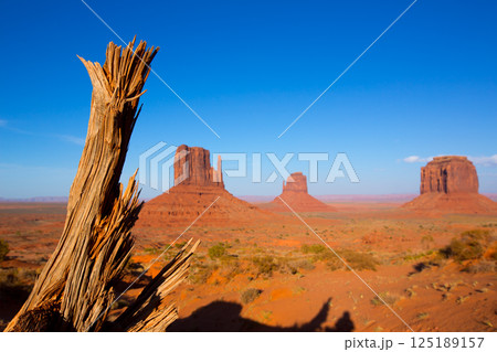 Monument Valley West and East Mittens and Merrick Butte Monument Valley West and East Mittens and Merrick Butte 125189157