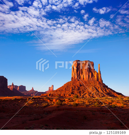 Monument Valley West Mitten Butte Utah Park 125189169