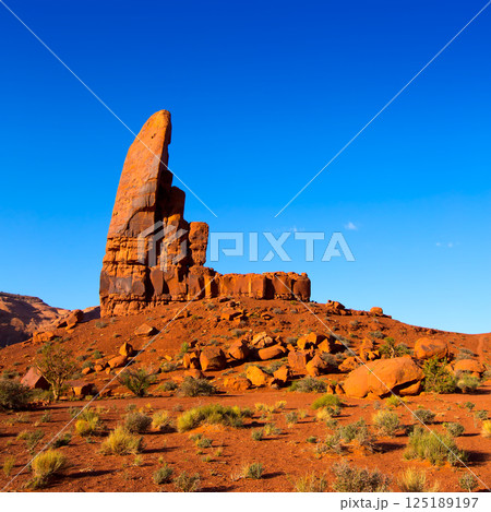 Monument Valley The Thumb Cly butte Utah Monument Valley The Thumb Cly butte Utah 125189197