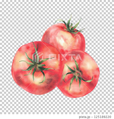 Watercolor Red tomatoes vegetables illustration isolated on white Whole ripe three fruit with green stalk. Hand drawn sketch in realistic style. Natural clipart for Farm plats healthy food label print 125189220