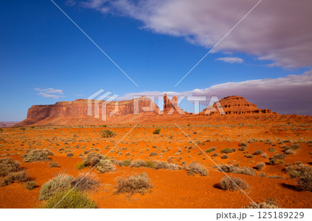 View from US 163 Scenic road to Monument Valley Utah View from US 163 Scenic road to Monument Valley Utah 125189229