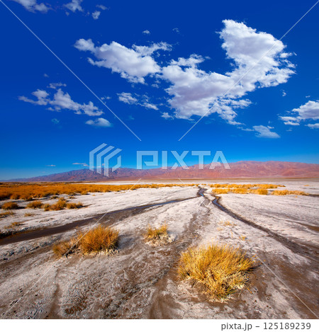 Death Valley National Park California Badwater 125189239