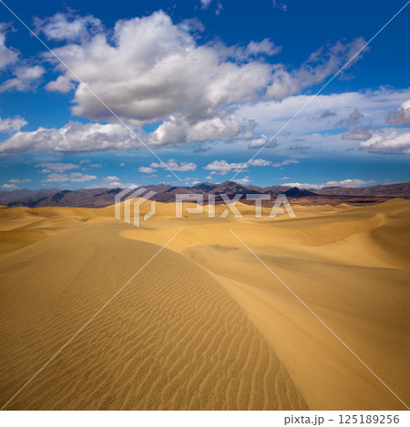 Mesquite Dunes desert in Death Valley National Park 125189256