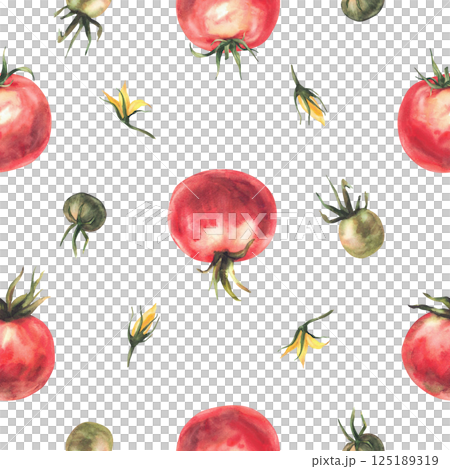 Tomato red and green fruit with yellow flowers seamless pattern. Watercolor vegetables harvest, ripe and unripe plant crop realistic painted illustration isolated from background for wallpaper, fabric Tomato red and green fruit with yellow flowers seamless pattern. Watercolor vegetables harvest, ripe and unripe plant crop realistic painted illustration isolated from background for wallpaper, fabric 125189319