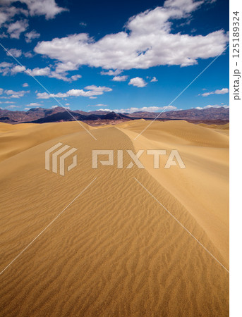 Mesquite Dunes desert in Death Valley National Park 125189324