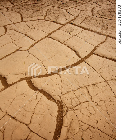 Mesquite Dunes dried clay macro detail in Death Valley Mesquite Dunes dried clay macro detail in Death Valley 125189333