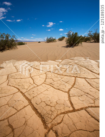 Mesquite Dunes dried clay macro detail in Death Valley 125189335