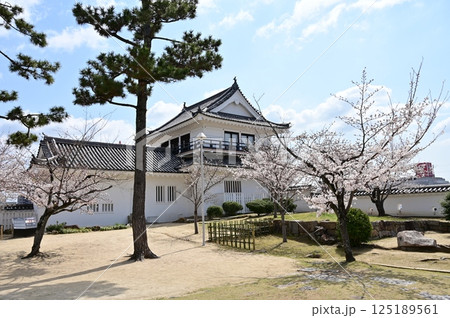 城内の月見櫓とソメイヨシノ（福山城） 125189561