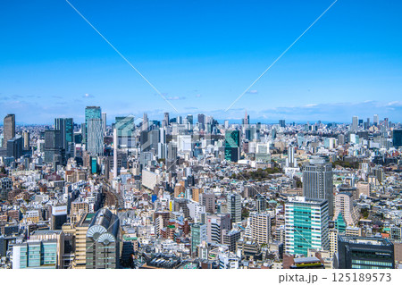 日本の東京都市景観 山々が見える珍景。渋谷のビル群や電車などを望む 125189573