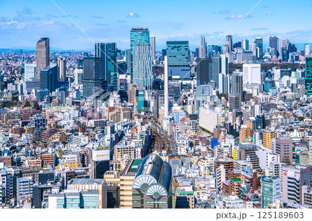 日本の東京都市景観 山々が見える珍景。渋谷のビル群や電車などを望む 日本の東京都市景観 山々が見える珍景。渋谷のビル群や電車などを望む 125189603