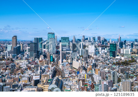 日本の東京都市景観 山々が見える珍景。渋谷のビル群や電車などを望む 日本の東京都市景観 山々が見える珍景。渋谷のビル群や電車などを望む 125189635