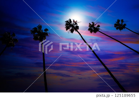 California palm trees sunset with colorful sky 125189655