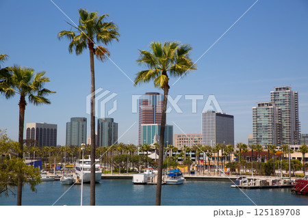 Long Beach California skyline from palm trees of port Long Beach California skyline from palm trees of port 125189708