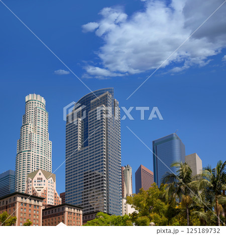 LA Downtown Los Angeles Pershing Square palm tress 125189732