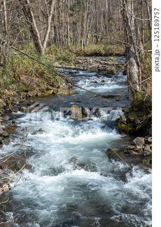 山奥の春の渓流 山奥の春の渓流 125189757