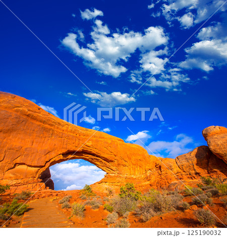 Arches National Park in Moab Utah USA 125190032