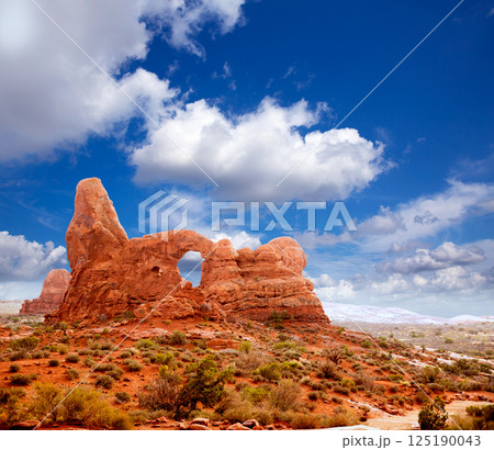 Arches National Park Turret Arch in Utah USA Arches National Park Turret Arch in Utah USA 125190043