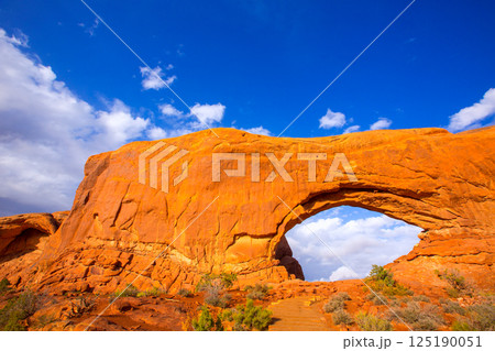 Arches National Park in Moab Utah USA 125190051
